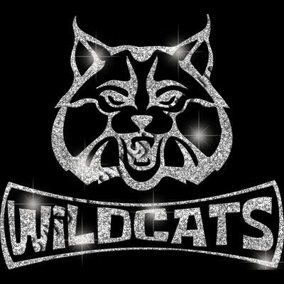 GLT94 SILVER GLITTER Thumbnail